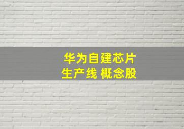 华为自建芯片生产线 概念股